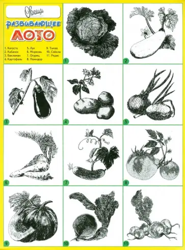 Развивающее лото "Овощи" обложка книги