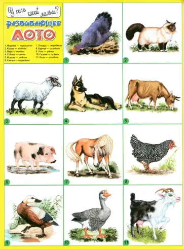 Развивающее лото "У кого какой малыш?" обложка книги