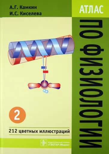 Камкин, Киселева - Атлас по физиологии. В 2-х томах. Том 2. Учебное пособие обложка книги