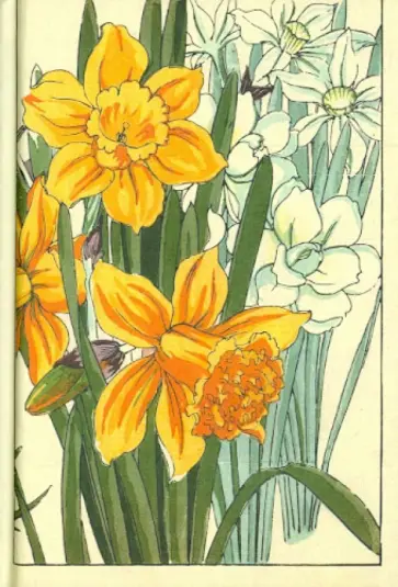 Блокнот для записей "Нарциссы" 80 листов, А6 обложка книги