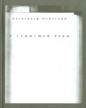 Александр Олитский - У стынущей реки обложка книги