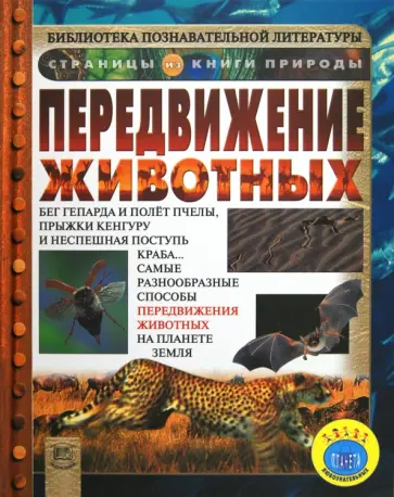 Кейт Петти - Передвижение животных обложка книги