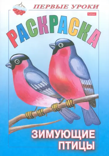 Раскраска Зимующие птицы обложка книги