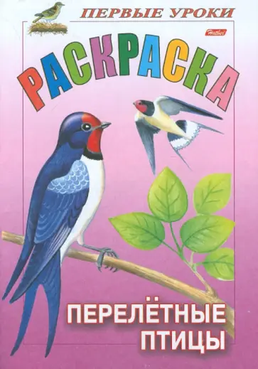 Раскраска. Перелетные птицы обложка книги