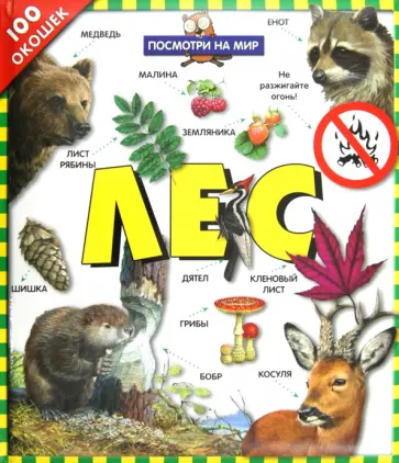 Анна Казалис - 100 окошек. Лес Анна Казалис - 100 окошек. Лес обложка книги