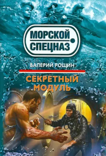 Валерий Рощин - Секретный модуль обложка книги