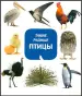 Миниатюра 1