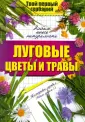 Твой первый гербарий