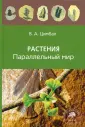 Цимбал Владимир Анатольевич
