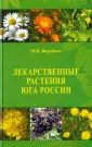 Воробьев Михаил Петрович