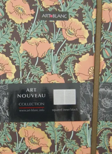 Тетрадь ART-BLANC "Art nouveau" клетка (120362SR) обложка книги