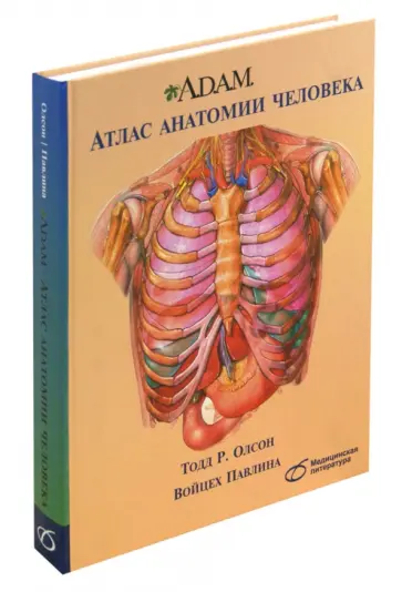 Олсон, Павлина - A.D.A.M. Атлас анатомии человека Олсон, Павлина - A.D.A.M. Атлас анатомии человека обложка книги