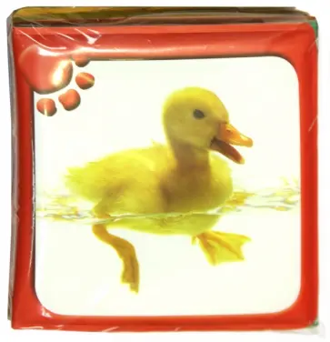 Пищалка. Зверята обложка книги