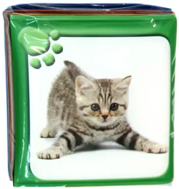 Пищалка. Удивительные животные обложка книги