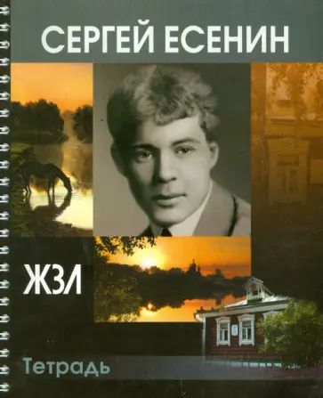 Тетрадь 96 листов "ЖЗЛ. Сергей Есенин", клетка обложка книги