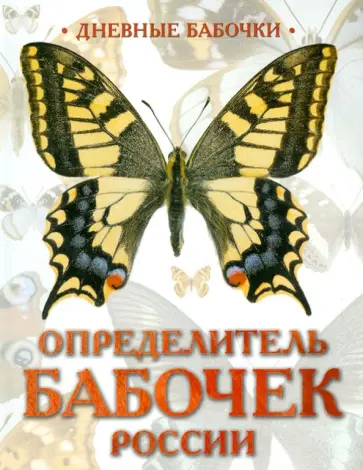 Каабак, Сочивко - Дневные бабочки. Определитель бабочек России обложка книги