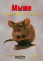 Гасспер Георг