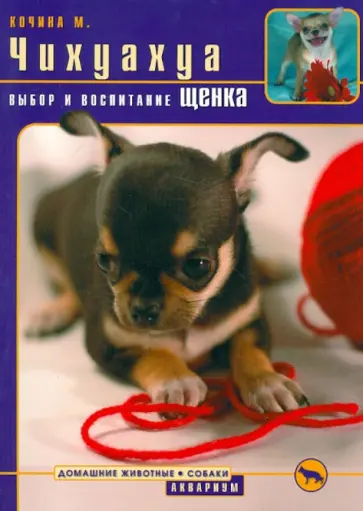 Марина Кочина - Чихуахуа. Выбор и воспитание щенка Марина Кочина - Чихуахуа. Выбор и воспитание щенка обложка книги