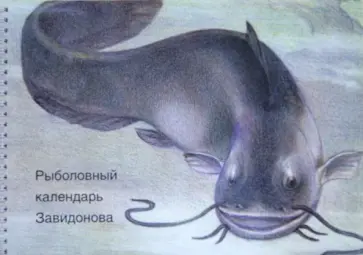 Борис Завидонов - Рыболовный календарь Завидонова обложка книги
