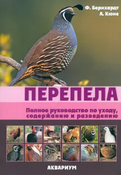 Содержание перепелов в домашних условиях для начинающих