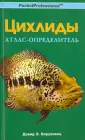 Боруховиц Дэвид Э.