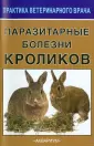 Сидоркин Владимир Александрович