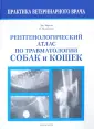 Вулвекамп Пим