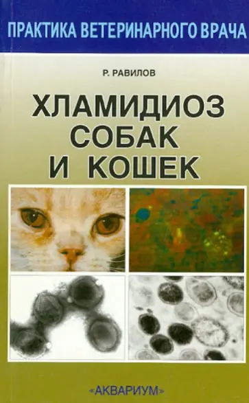 Рустам Равилов - Хламидиоз собак и кошек Рустам Равилов - Хламидиоз собак и кошек обложка книги
