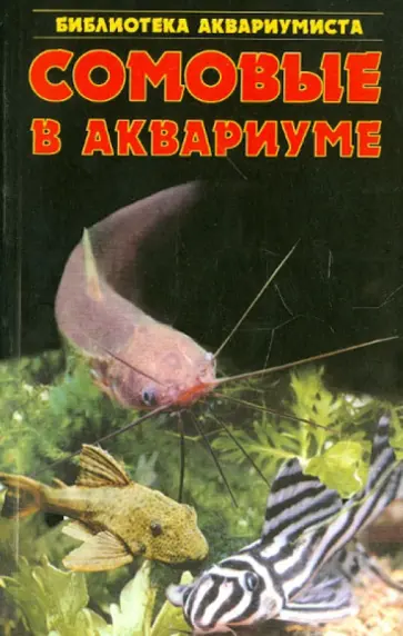 Сергей Кочетов - Сомовые в аквариуме обложка книги
