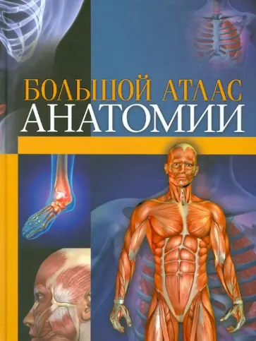 Аль-Халаф, Ангели - Большой атлас анатомии обложка книги