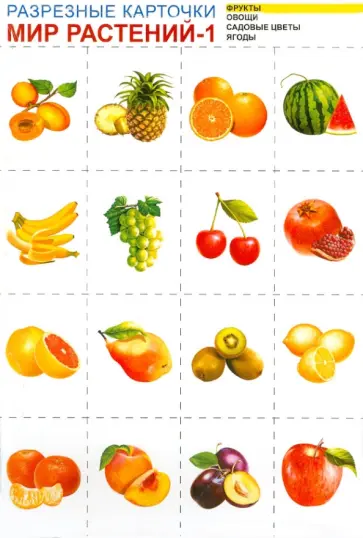 Мир растений-1. Комплект разрезных карточек Мир растений-1. Комплект разрезных карточек обложка книги