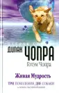 Чопра Готэм