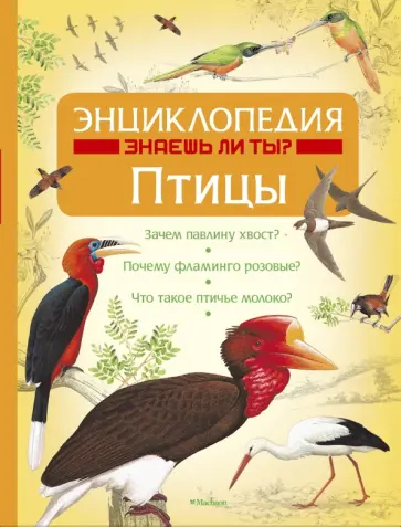 Энн Бэгли - Энциклопедия "Знаешь ли ты?". Птицы Энн Бэгли - Энциклопедия "Знаешь ли ты?". Птицы обложка книги