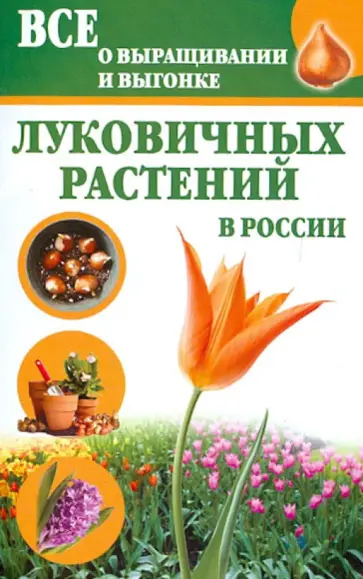 Татьяна Литвинова - Все о выращивании и выгонке луковичных растений в России Татьяна Литвинова - Все о выращивании и выгонке луковичных растений в России обложка книги