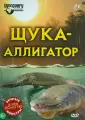 Дискавери: Культура секса. Наиболее извращенный секс — Video | VK