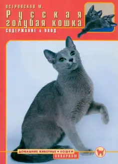 Домашние животные. Кошки