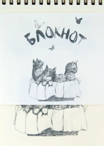 Блокнот рисованный "Коты" (B-495) обложка книги