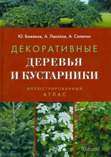 Баженов, Сапелин - Декоративные деревья и кустарники. Иллюстрированный справочник Баженов, Сапелин - Декоративные деревья и кустарники. Иллюстрированный справочник обложка книги