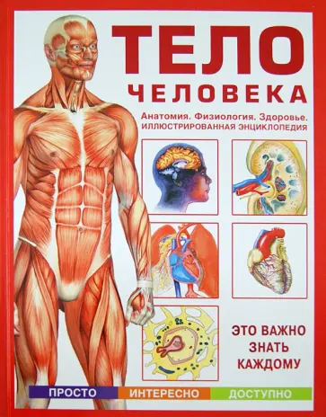 Тело человека. Анатомия. Физиология. Здоровье. Иллюстрированная энциклопедия Тело человека. Анатомия. Физиология. Здоровье. Иллюстрированная энциклопедия обложка книги