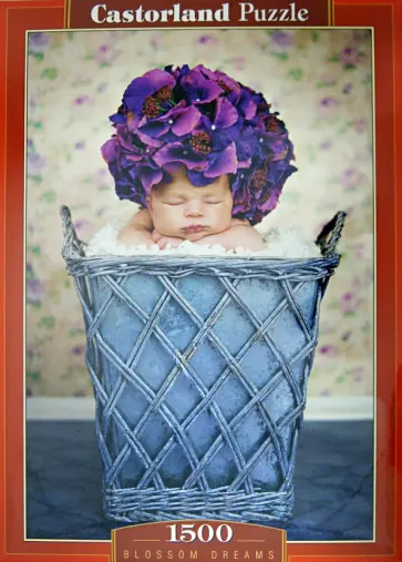 Puzzle-1500 "Корзинка мечты" (C-151134) обложка книги