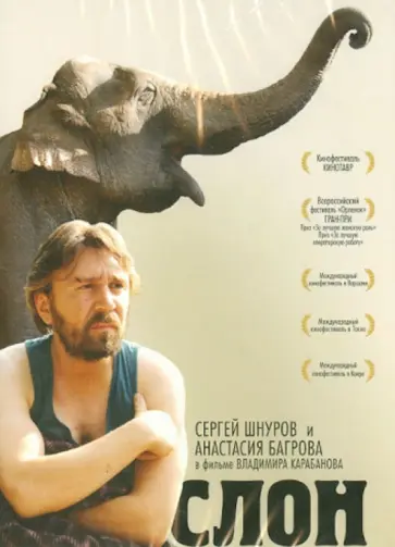 Владимир Карабанов - Слон (DVD) Владимир Карабанов - Слон (DVD) обложка книги