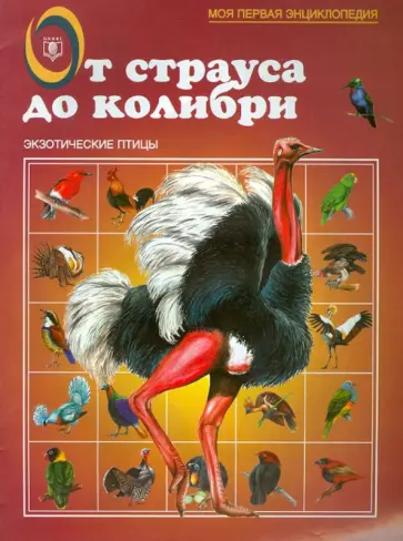 И. Бабенко - От страуса до колибри. Экзотические птицы И. Бабенко - От страуса до колибри. Экзотические птицы обложка книги