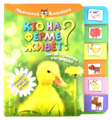 Кто на ферме живет? Листай странички-учи цифры! Узнавай! Учись! Играй! Кто на ферме живет? Листай странички-учи цифры! Узнавай! Учись! Играй! обложка книги