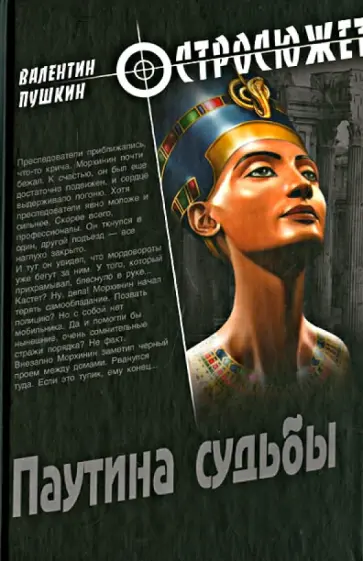 Валентин Пушкин - Паутина судьбы Валентин Пушкин - Паутина судьбы обложка книги