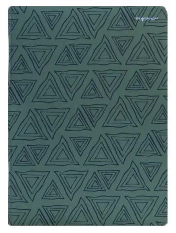 Папка с файлами. Карман. DELTA. 10 файлов. Цвет: оливковый (255025-22) обложка книги