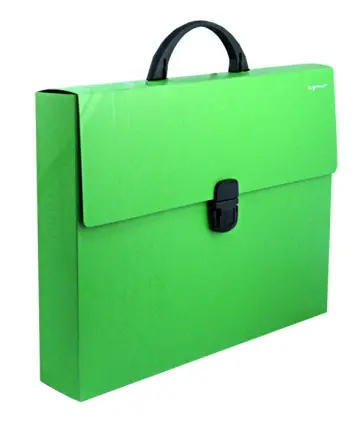 Портфель с ручкой DISCOVERY. Цвет: зеленый (255043-03) Портфель с ручкой DISCOVERY. Цвет: зеленый (255043-03) обложка книги