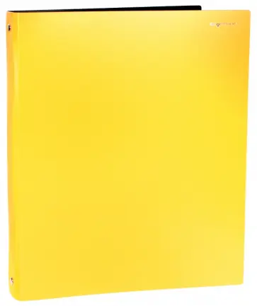 Папка на 4-х кольцах. DISCOVERY. Цвет: охра (255046-26) обложка книги