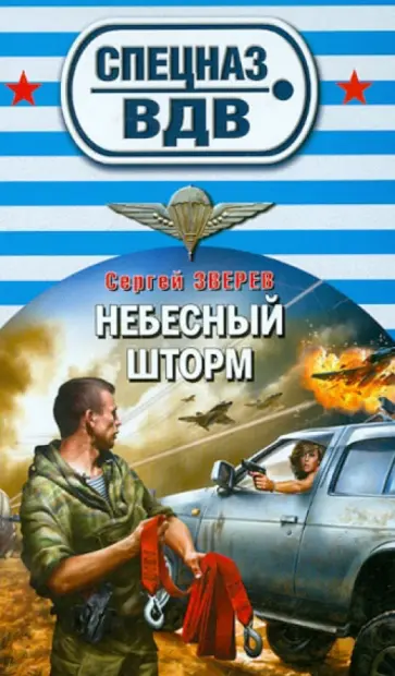 Сергей Зверев - Небесный шторм обложка книги