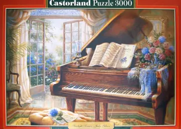 Puzzle-3000 "Солнечный свет" (С-300310) обложка книги