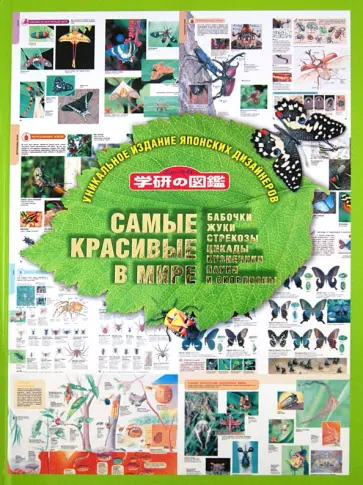 Самые красивые в мире: бабочки, жуки, стрекозы, цикады, кузнечики, пауки и скорпионы обложка книги
